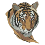 Untitled design (40)